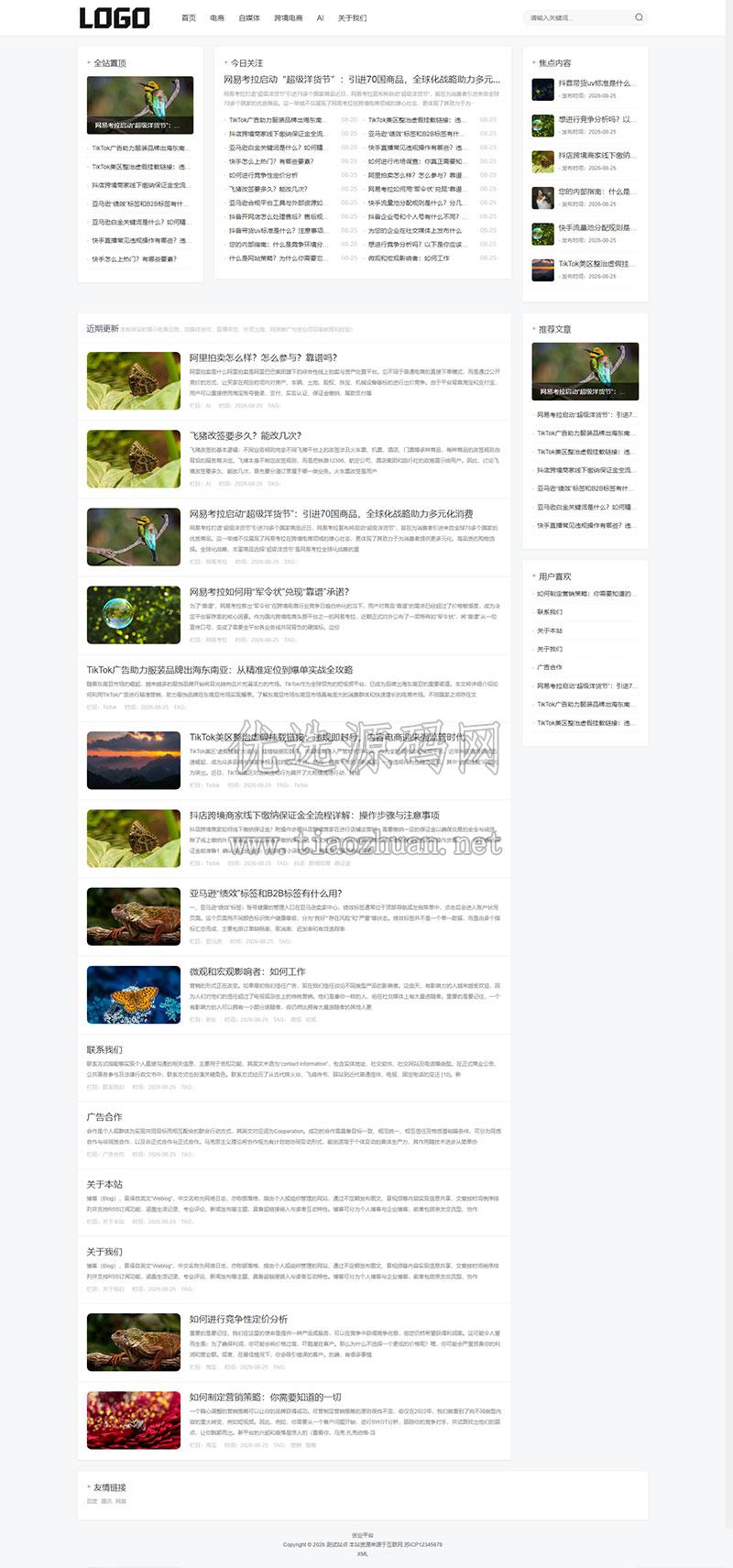 互联网电商博客资讯网站模板