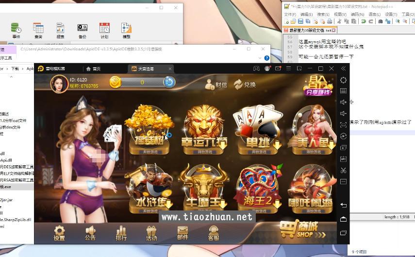 星力10搭建架设视频教程