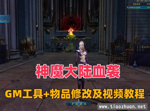 网单【神魔大陆血袭】2024版，带GM工具+商城物品修改等工具